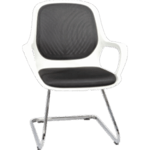 QUEEN VC (WHITE / GREY)