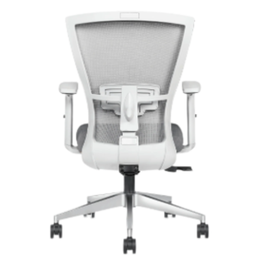 DYNAMO MB (GREY / BLACK)