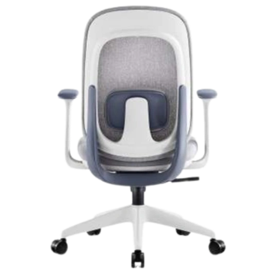 FABIO HB MB (IMP) - Image 2