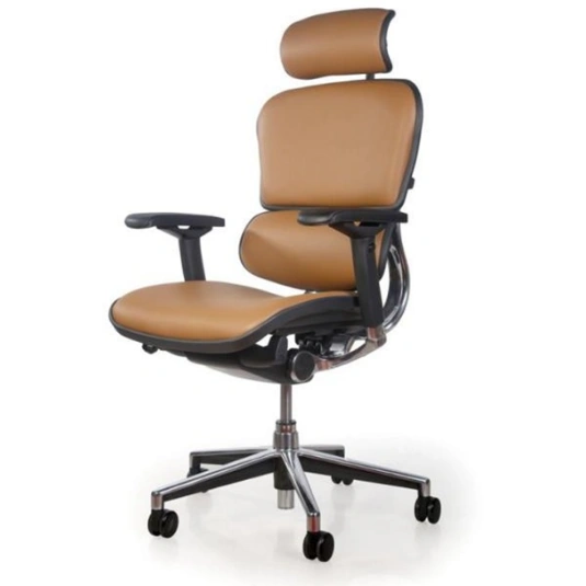 FALCON LEATHER HB | MB(IMP)