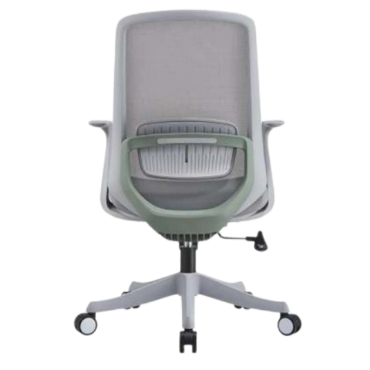 MIGHT HB MB (IMP) - Image 2