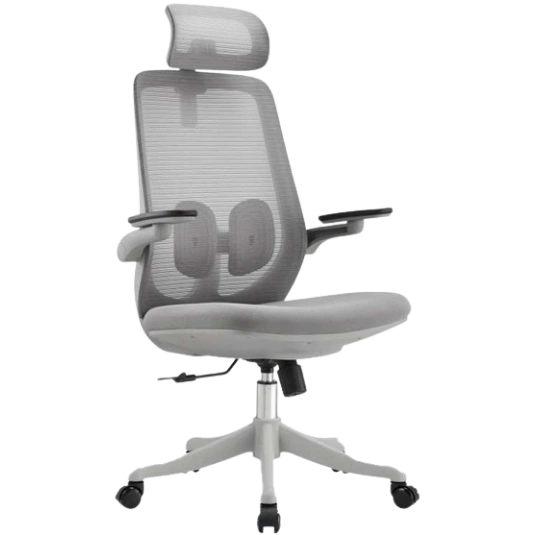 CHASE GREY HB MB (IMP)