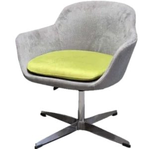 KIWIS REV